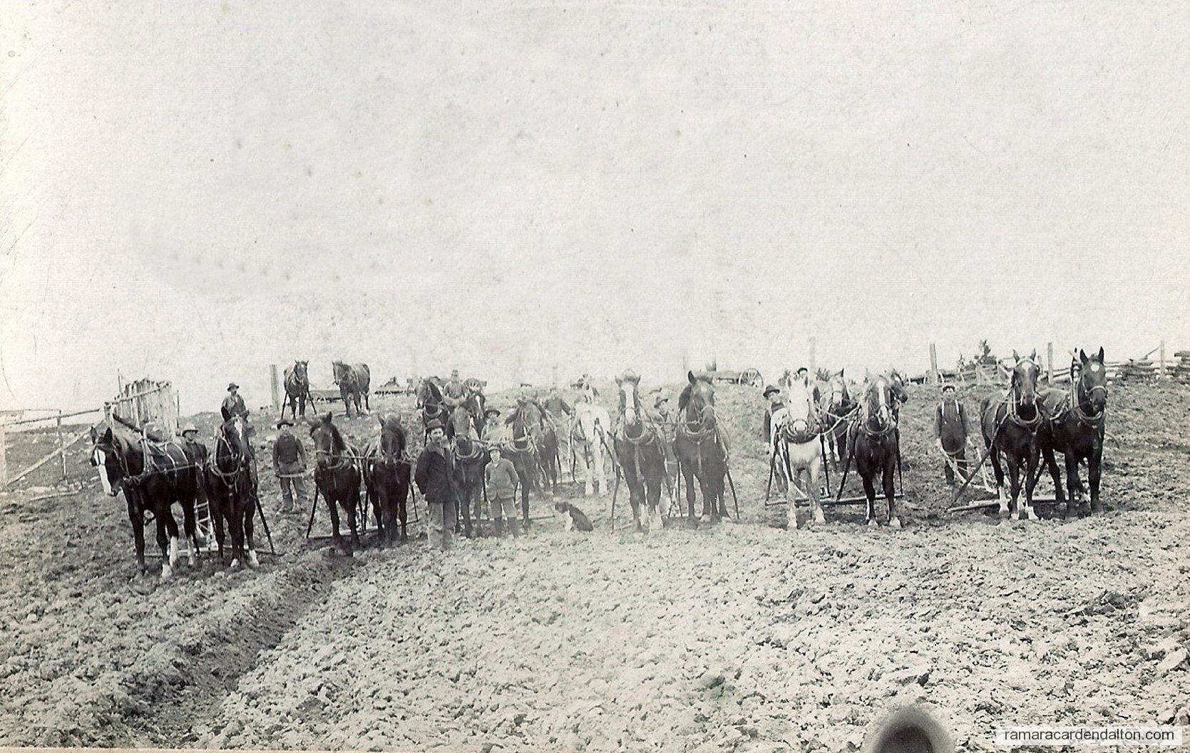 Photo of the day 2634 - Photo of the day