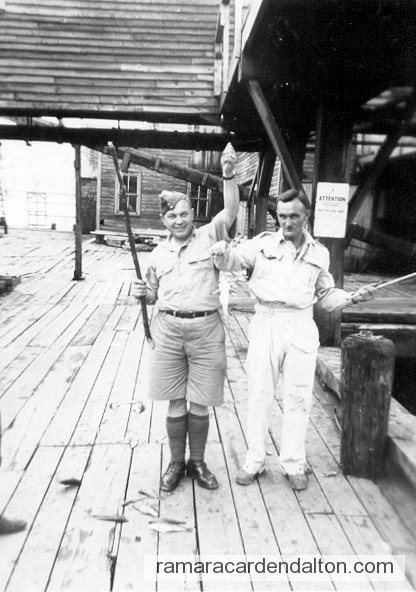 Photo of the day 2673 - Photo of the day