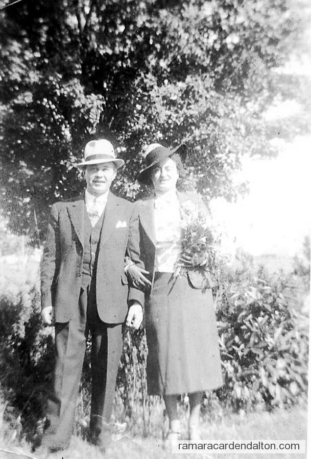 Photo of the day 2675 - Photo of the day