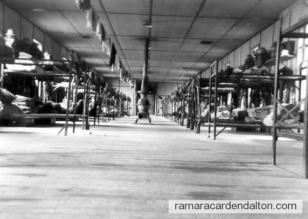 Photo of the day 2677 - Photo of the day