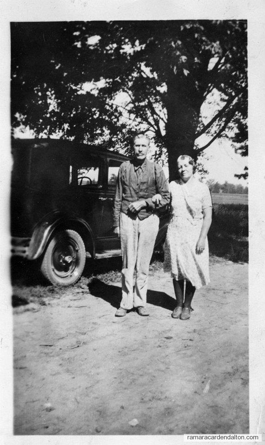 Photo of the day 2696 - Photo of the day