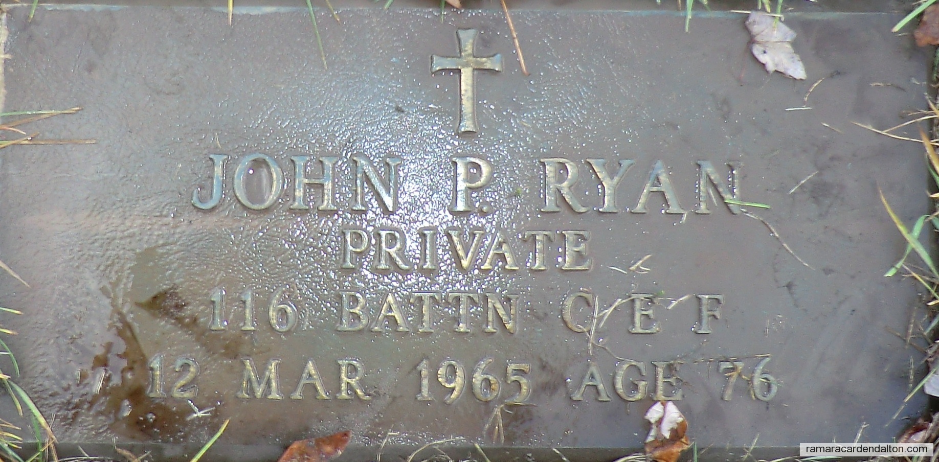 Photo of the day 2702 - Photo of the day