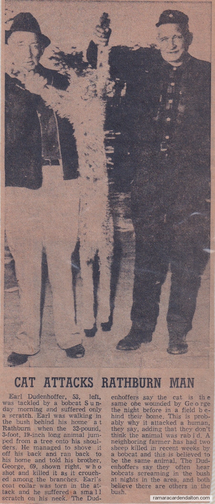 Killer Bobcat Killer Bobcat