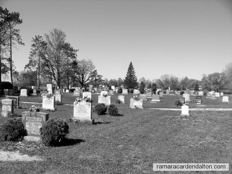 Photo of the day 272 - Photo of the day