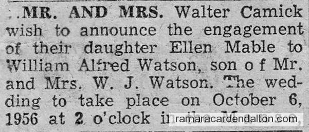 Photo of the day 2726 - Photo of the day