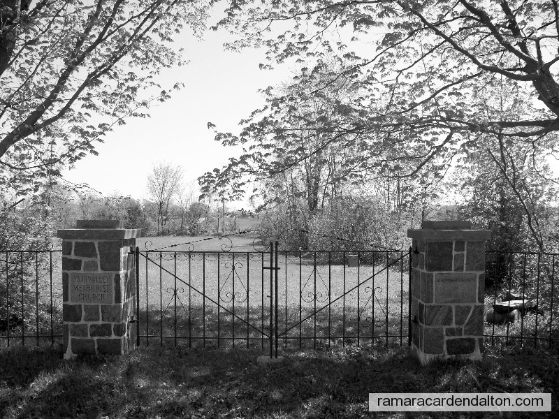 Photo of the day 273 - Photo of the day