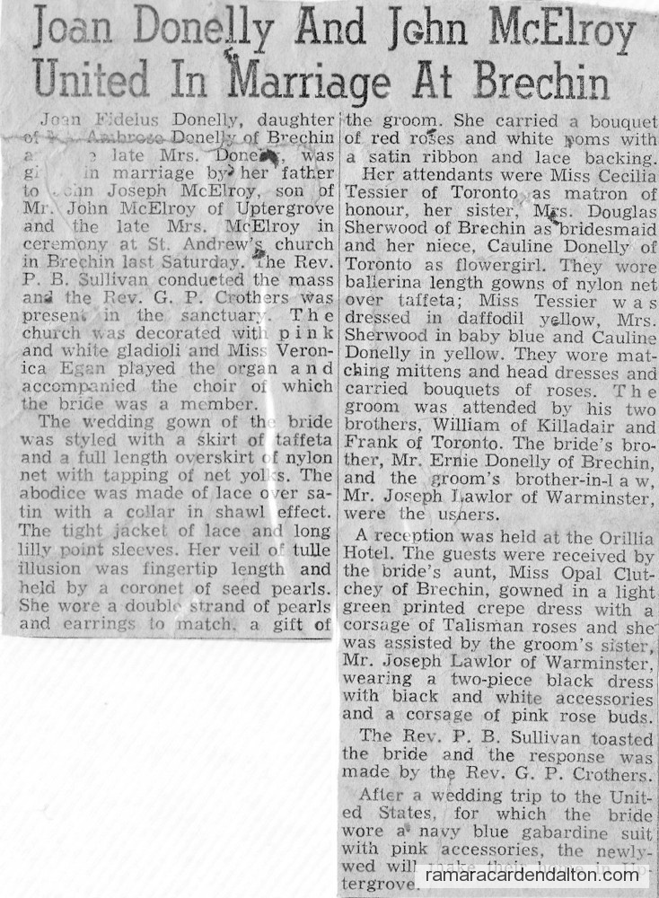 Photo of the day 2733 - Photo of the day