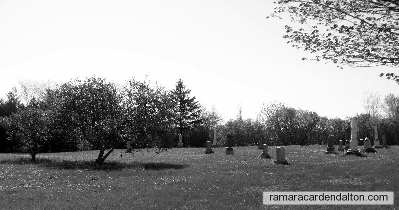 Photo of the day 274 - Photo of the day