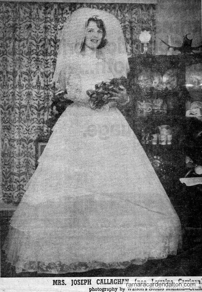 Photo of the day 2740 - Photo of the day