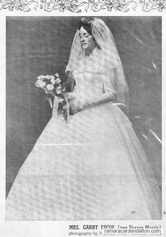 Photo of the day 2756 - Photo of the day