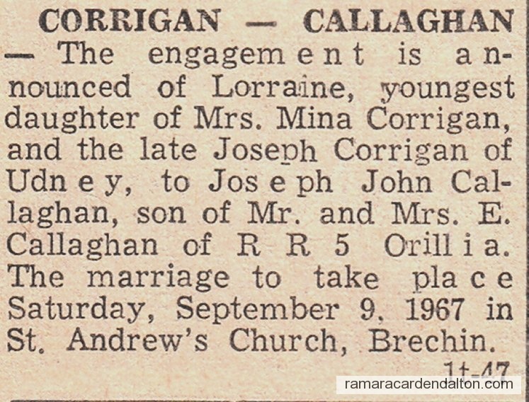 Photo of the day 2764 - Photo of the day