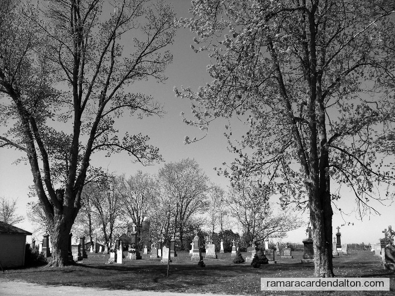 277 - Photo of the day