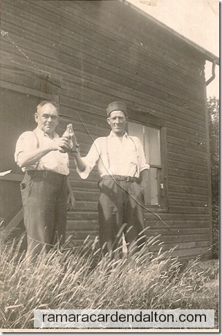 Photo of the day 2772 - Photo of the day