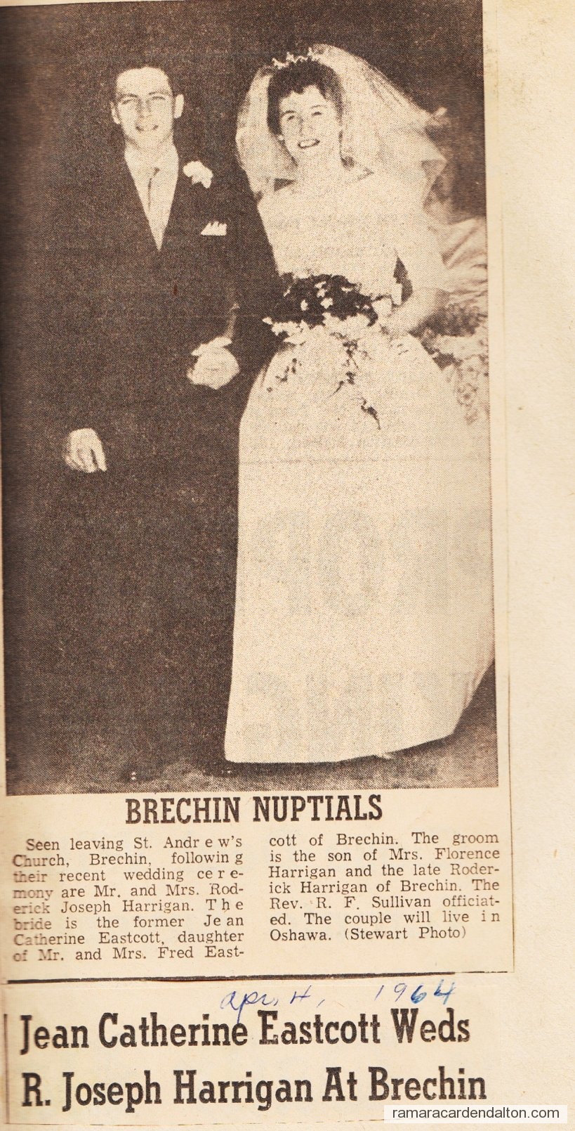 Photo of the day 2773 - Photo of the day