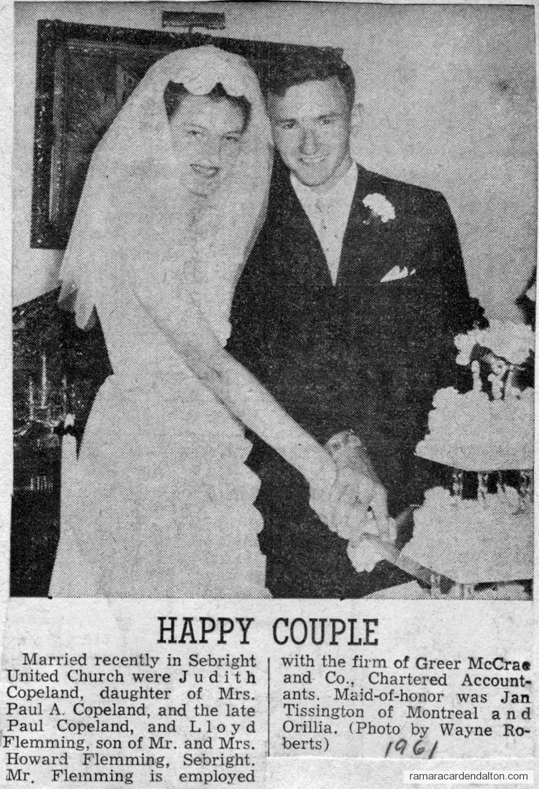 Photo of the day 2795 - Photo of the day