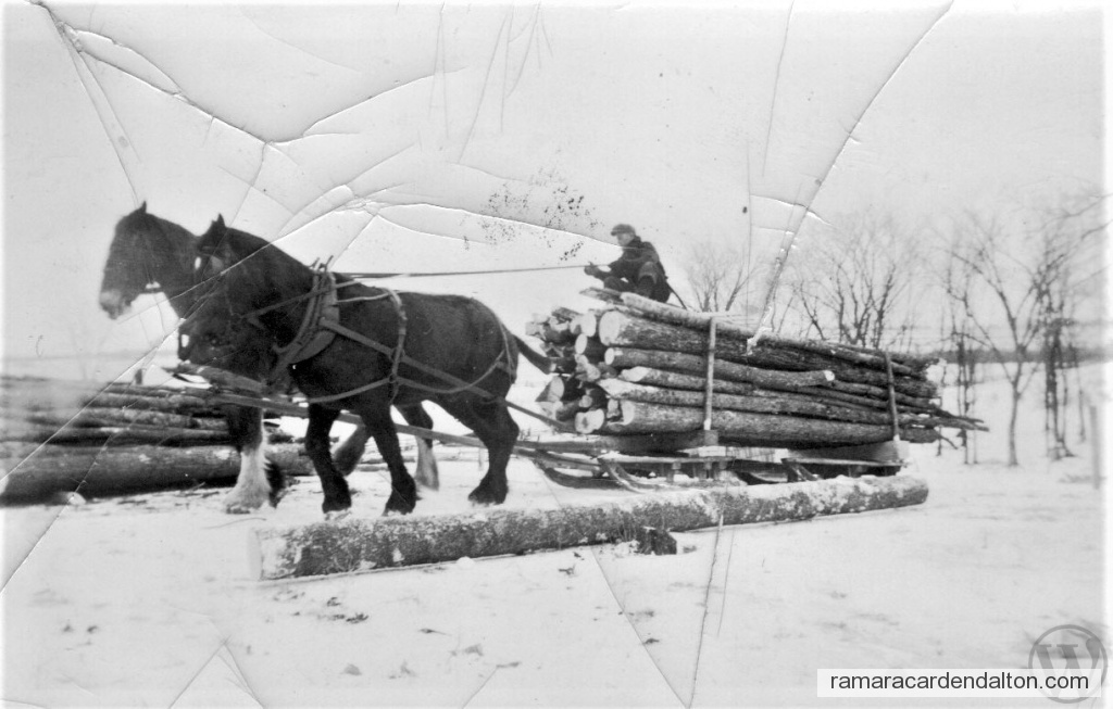 Photo of the day 2796 - Photo of the day