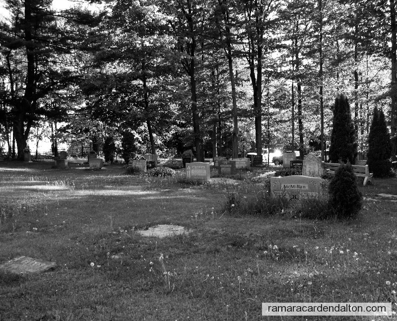 Photo of the day 280 - Photo of the day