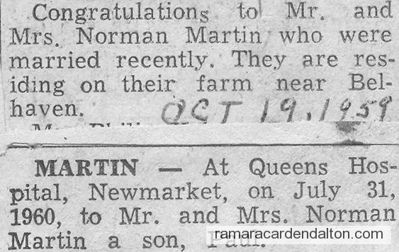 Photo of the day 2808 - Photo of the day