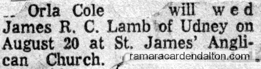 Photo of the day 2823 - Photo of the day