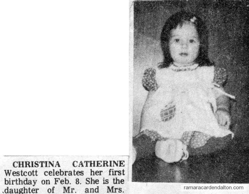 Photo of the day 2850 - Photo of the day