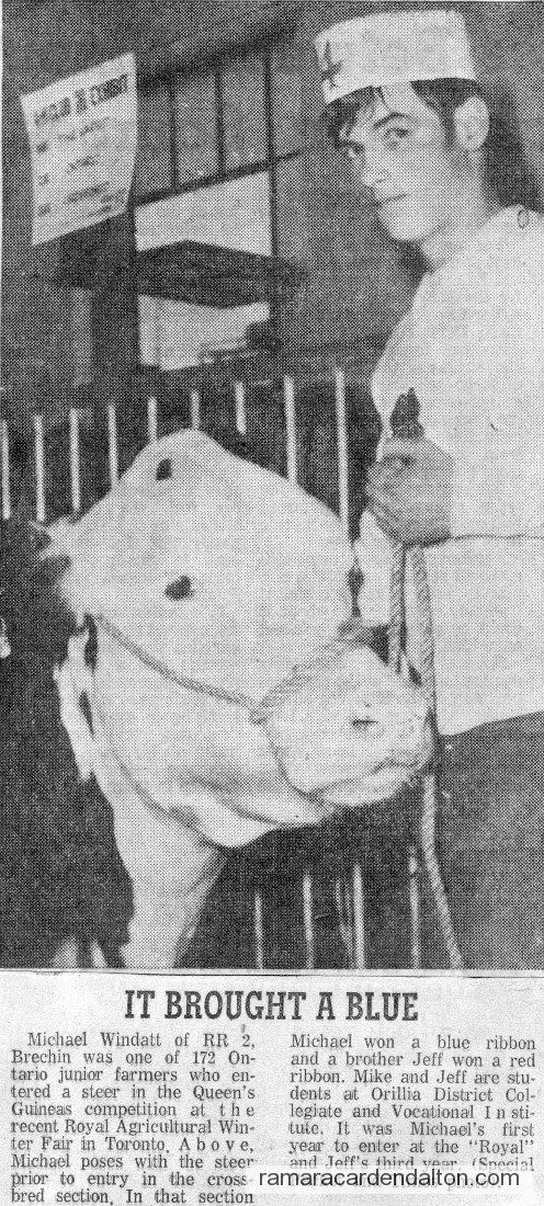 Michael Windatt Michael Windatt