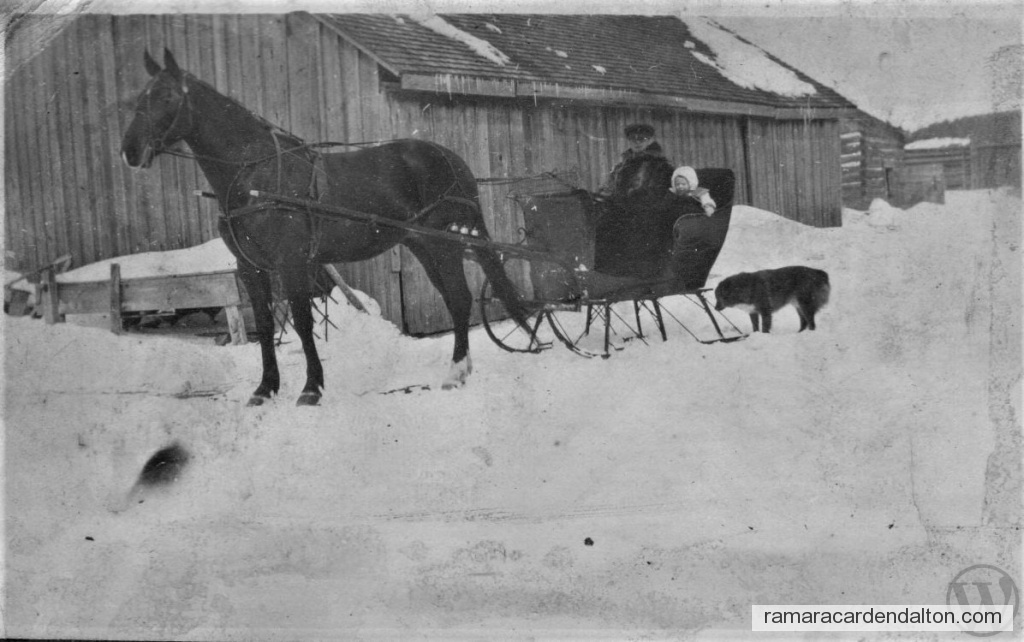 Photo of the day 2870 - Photo of the day