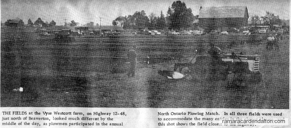 Photo of the day 2879 - Photo of the day