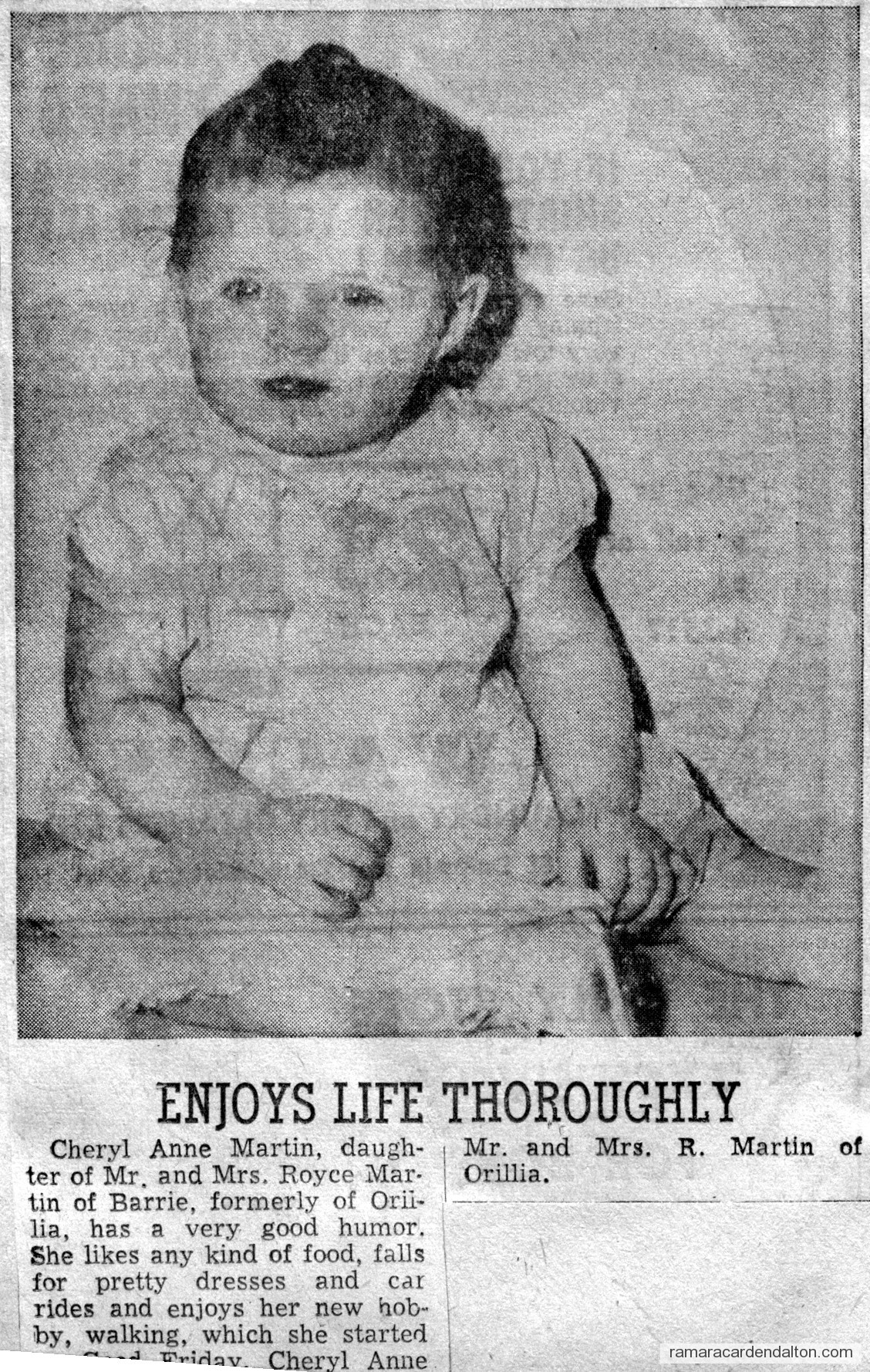 Photo of the day 2888 - Photo of the day