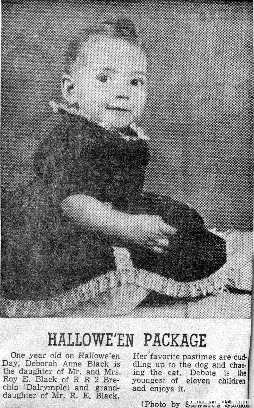 Photo of the day 2892 - Photo of the day