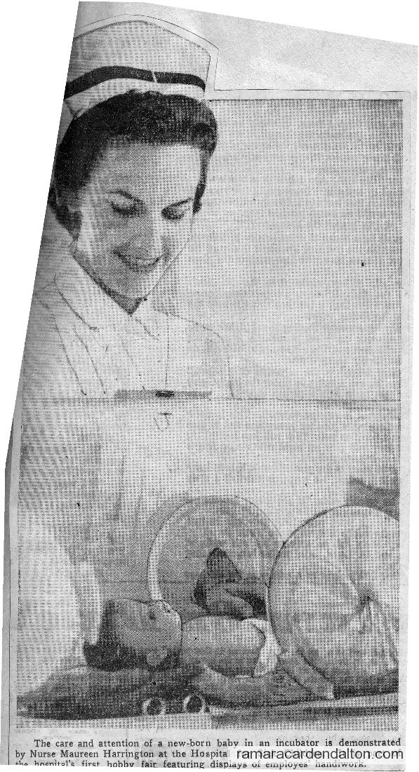 Photo of the day 2904 - Photo of the day