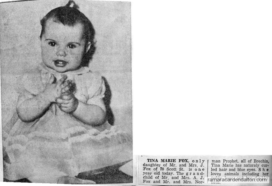 Photo of the day 2917 - Photo of the day