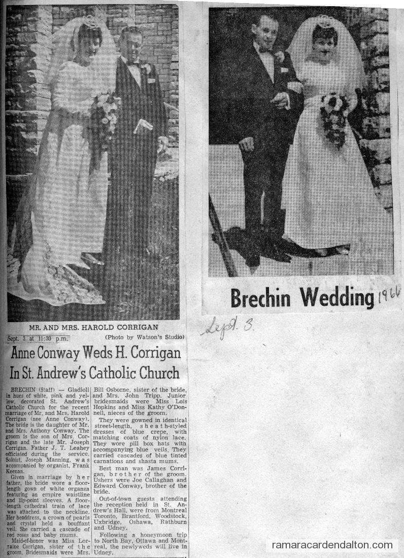 Photo of the day 2927 - Photo of the day