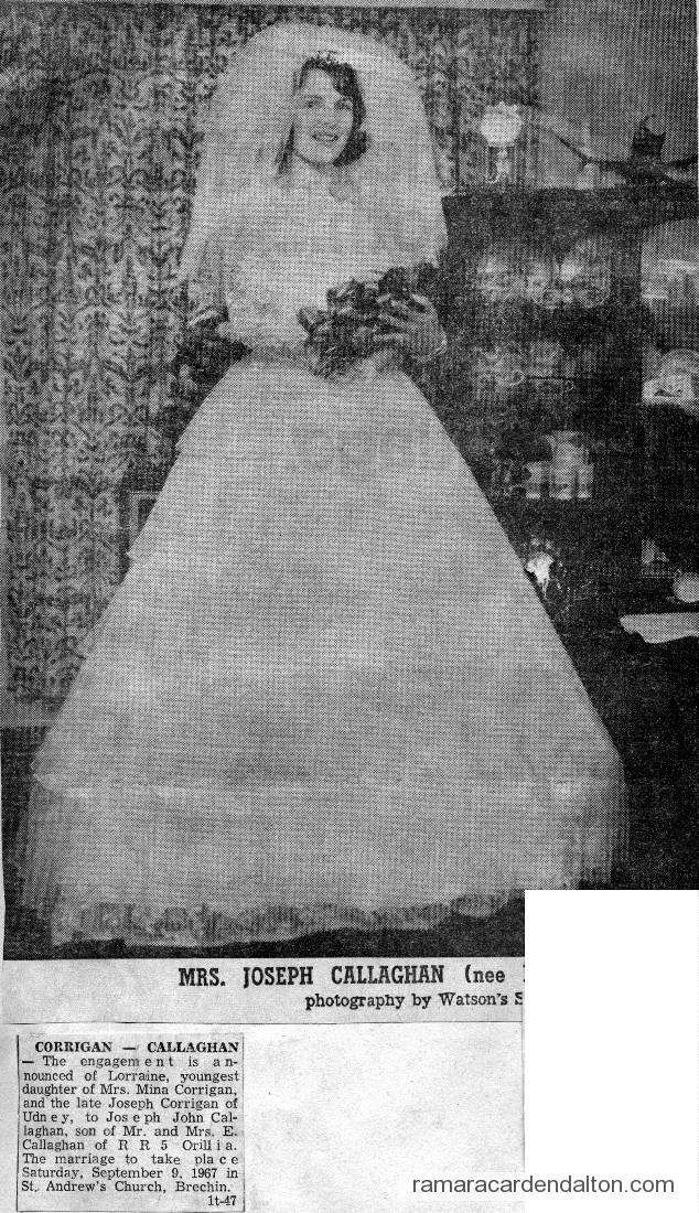 Photo of the day 2929 - Photo of the day