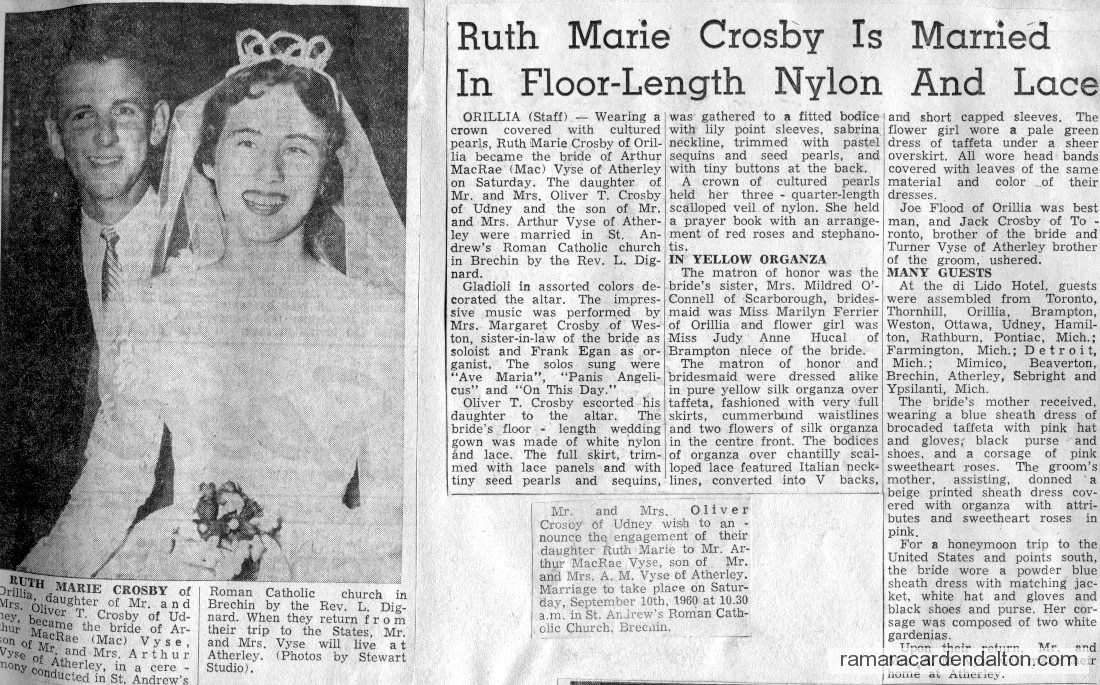 Photo of the day 2931 - Photo of the day