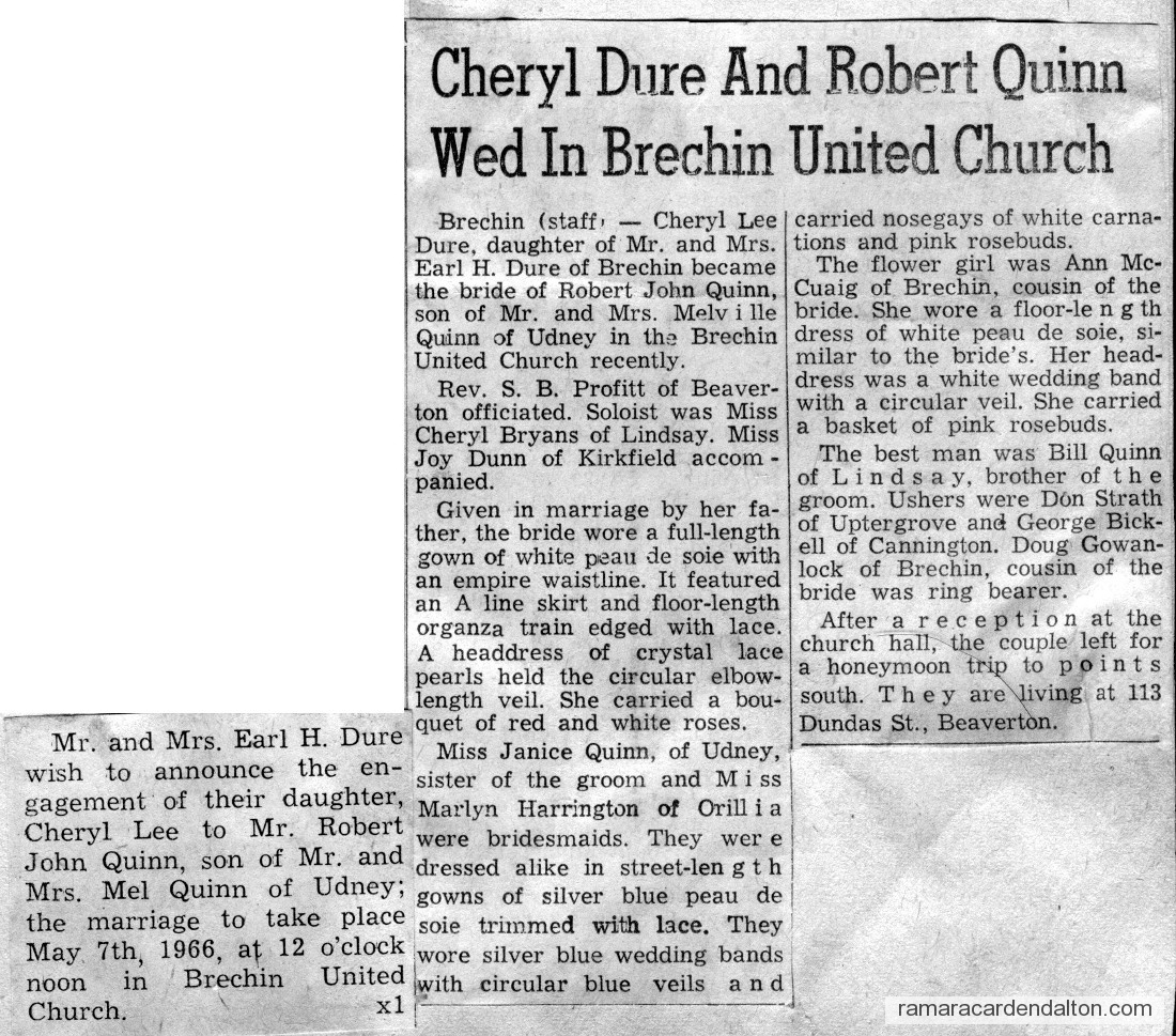 Photo of the day 2934 - Photo of the day