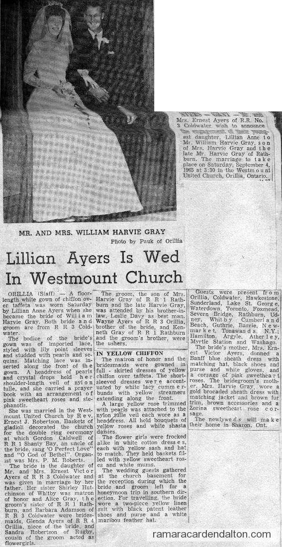 Photo of the day 2945 - Photo of the day