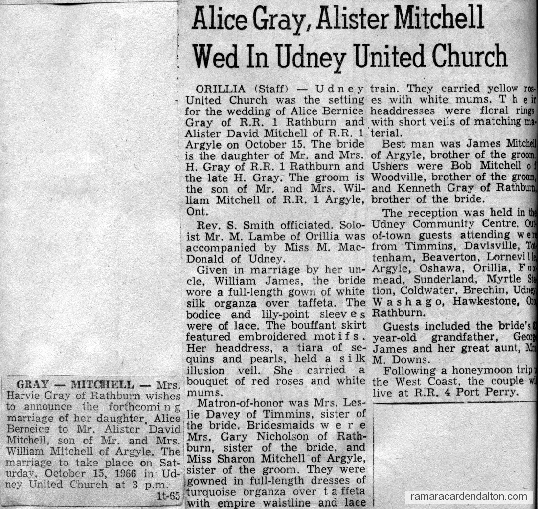 Photo of the day 2946 - Photo of the day