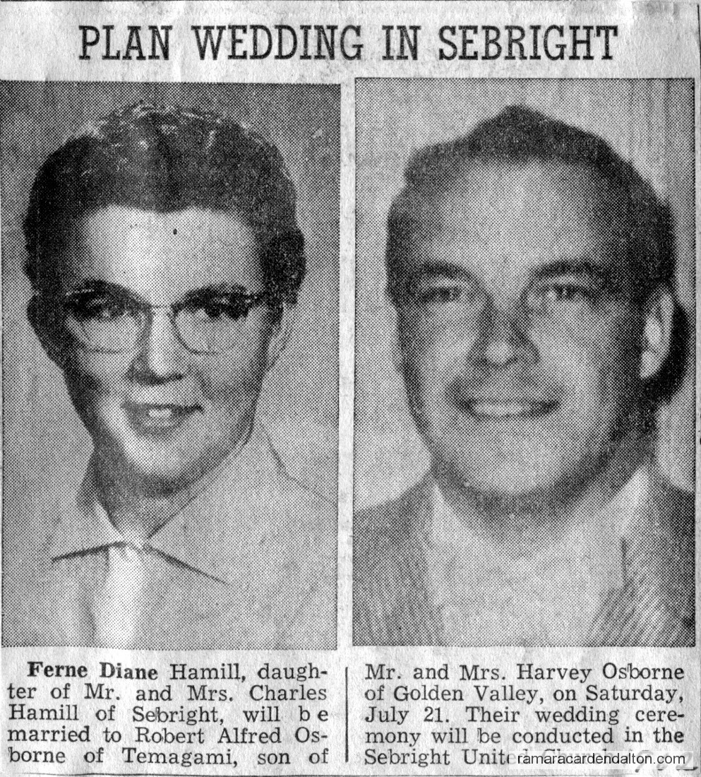 Photo of the day 2952 - Photo of the day