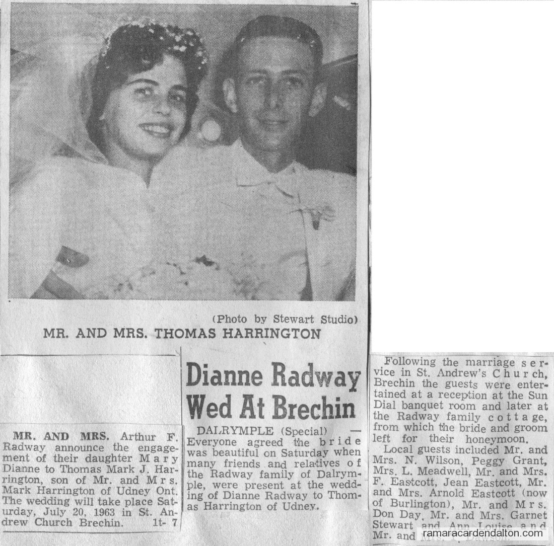 Photo of the day 2954 - Photo of the day