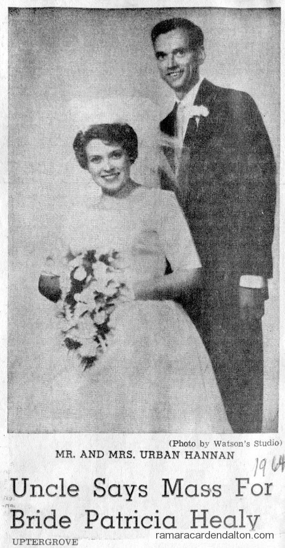 Photo of the day 2956 - Photo of the day