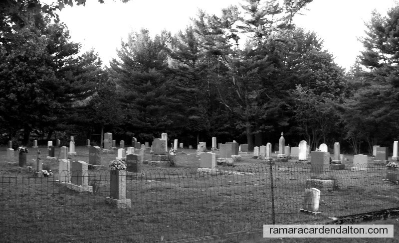 Photo of the day 297 - Photo of the day