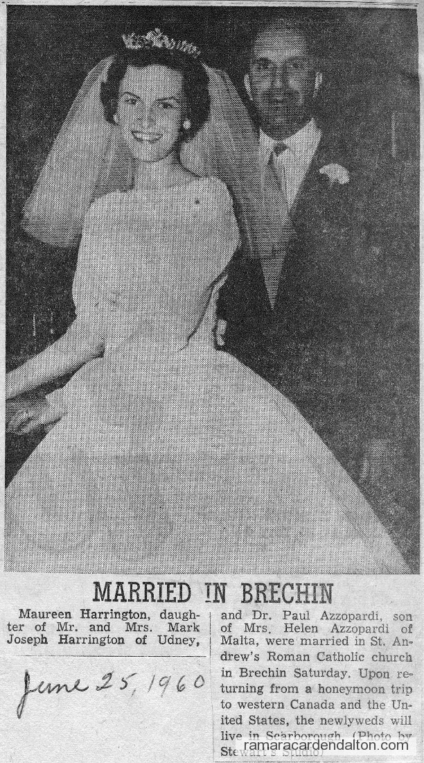 Photo of the day 2975 - Photo of the day