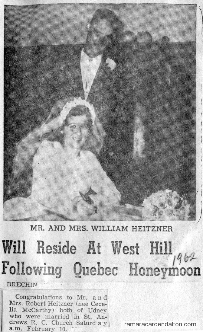 Photo of the day 2976 - Photo of the day