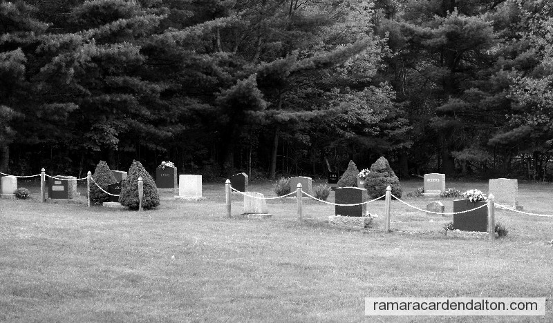 Photo of the day 298 - Photo of the day