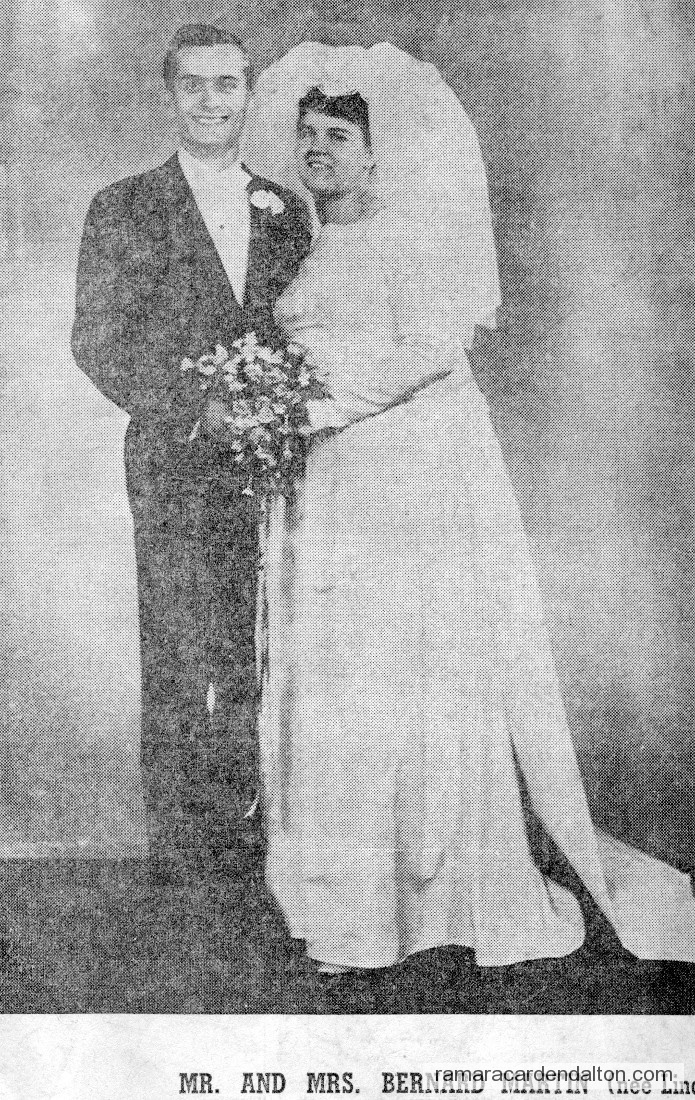 Photo of the day 2982 - Photo of the day