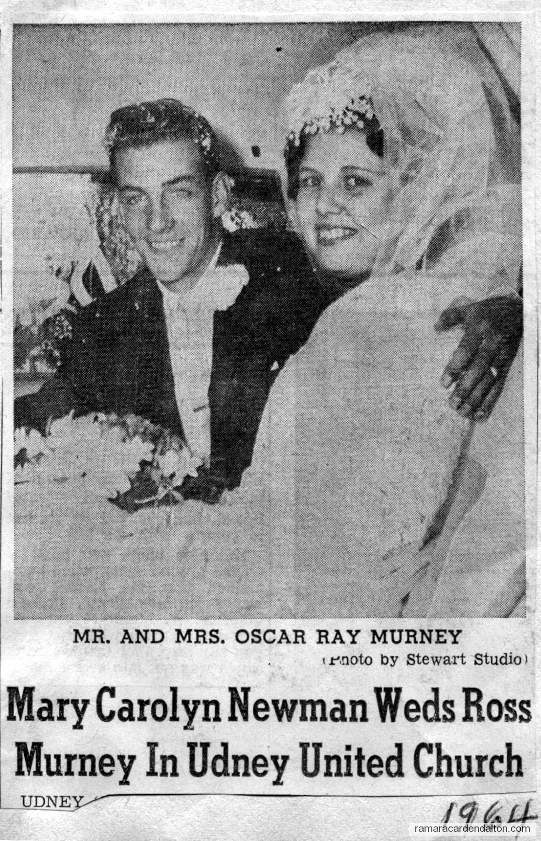 Photo of the day 2997 - Photo of the day