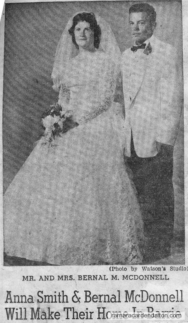 Photo of the day 3006 - Photo of the day