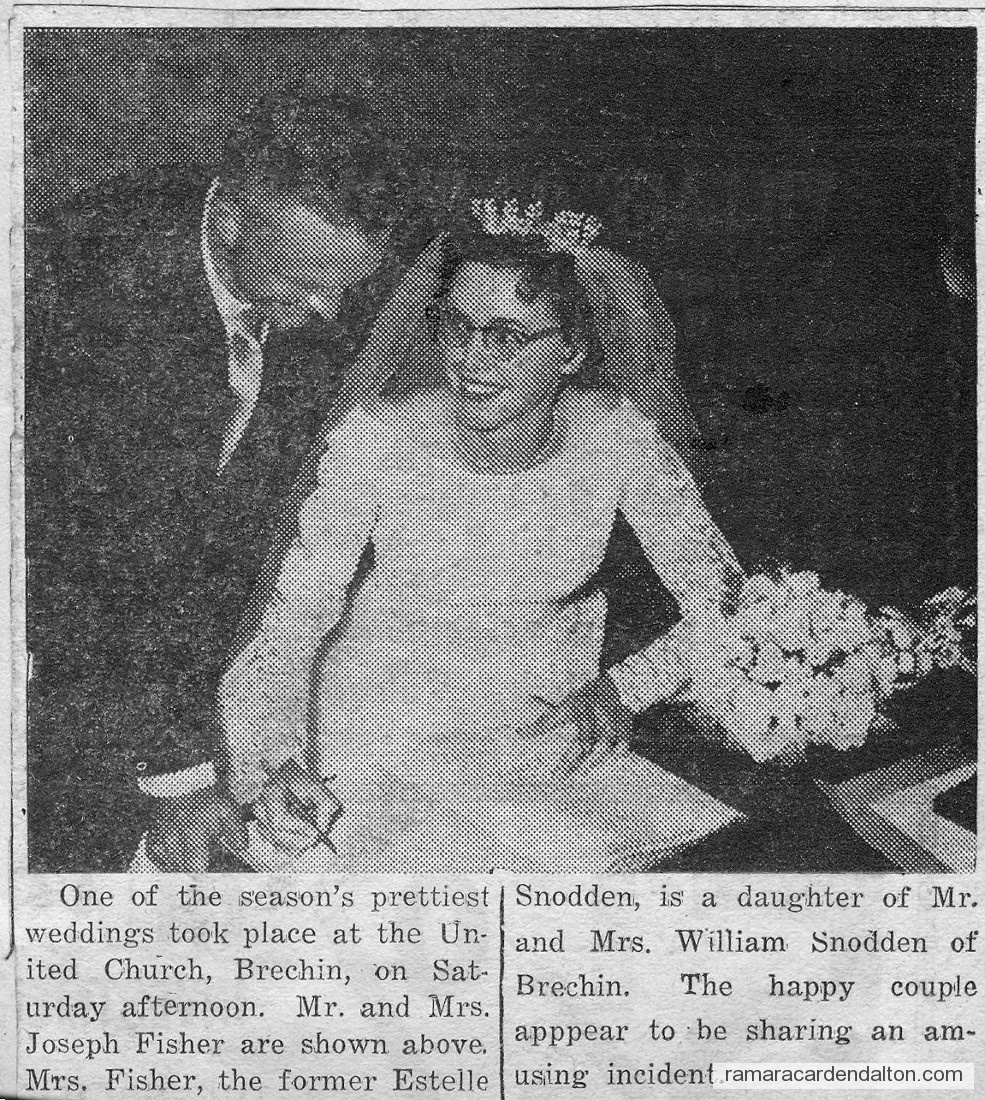 Photo of the day 3007 - Photo of the day