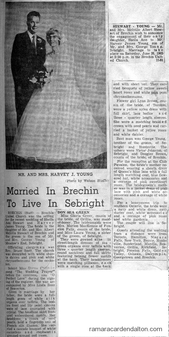 Photo of the day 3015 - Photo of the day