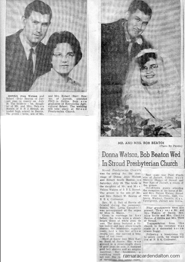 Photo of the day 3018 - Photo of the day